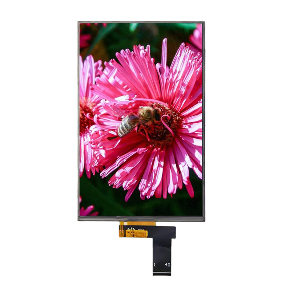 Hiển thị TFT 10,1 inch Giao diện MIPI với độ phân giải cao